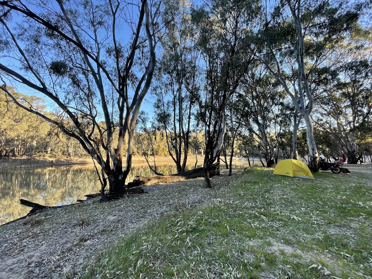 Bunyip's Camp