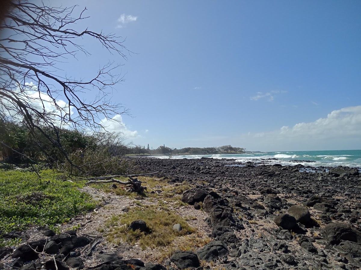 Mon Repos Conservation Park