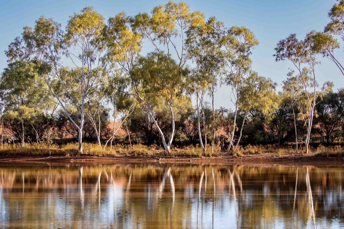 Opalton Bush Park