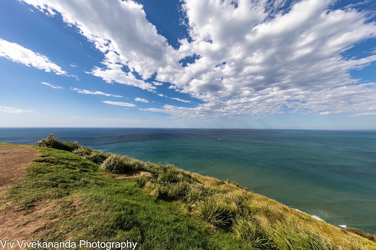 Stanwell Tops Lookout