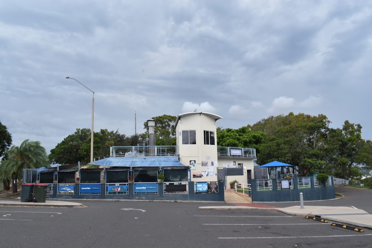 Auckland Point Lookout