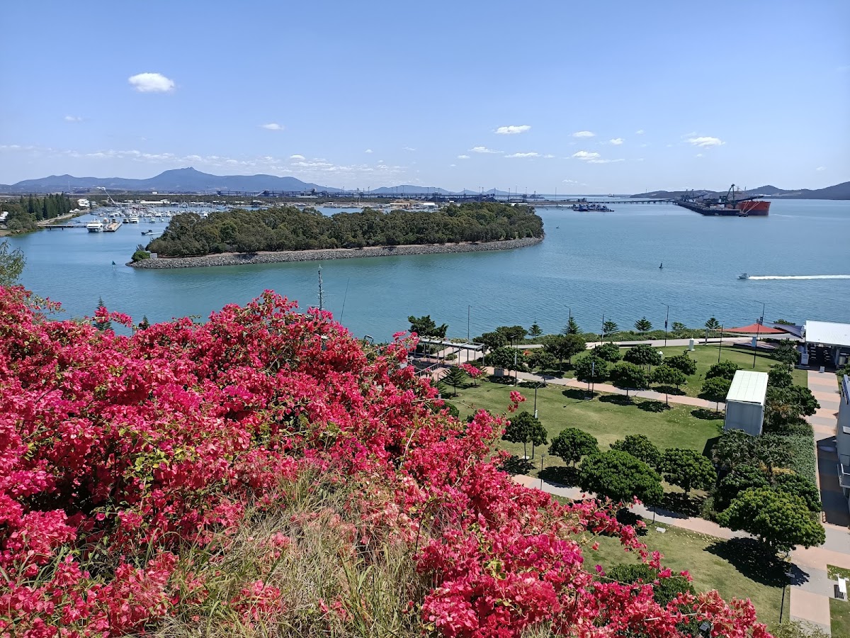 Auckland Point Lookout
