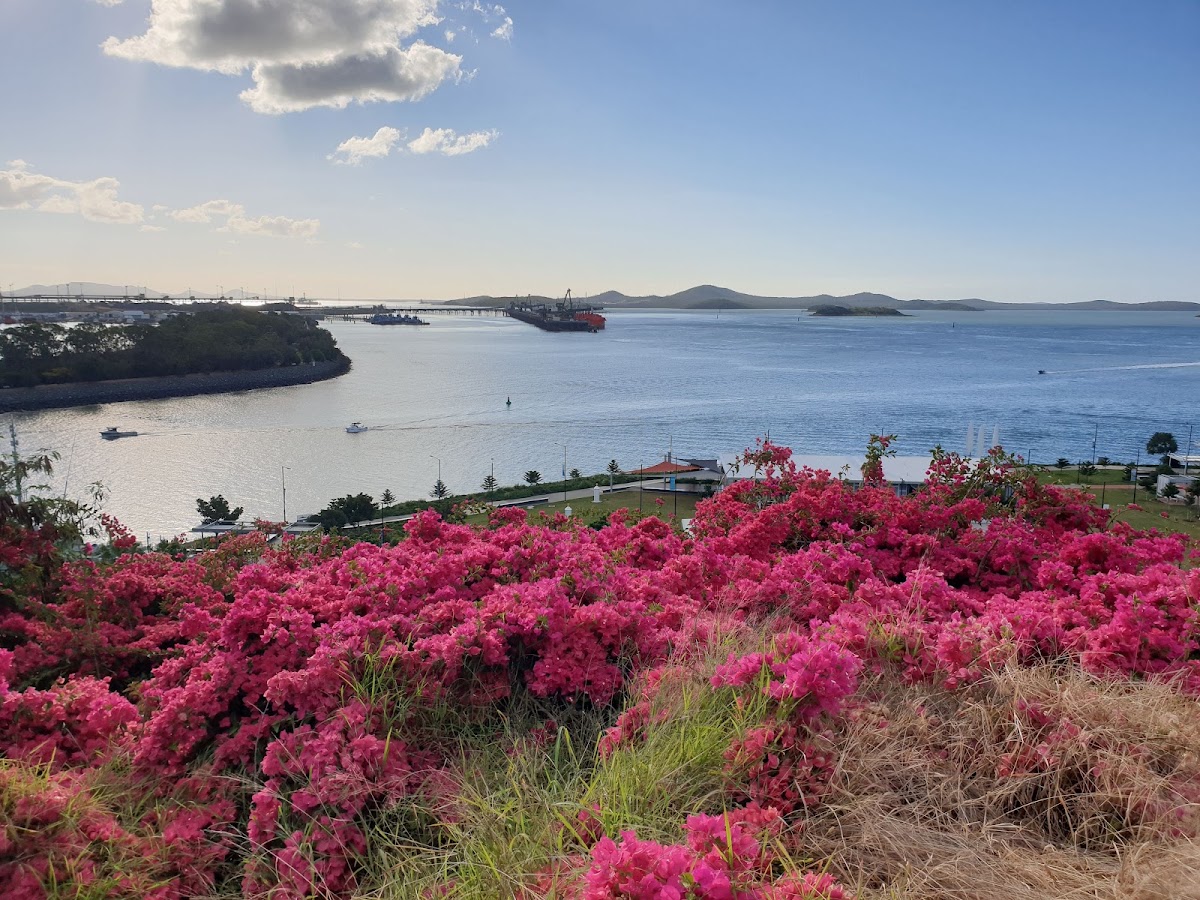 Auckland Point Lookout