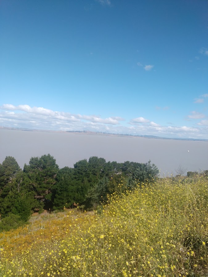 Weereewaa Lookout