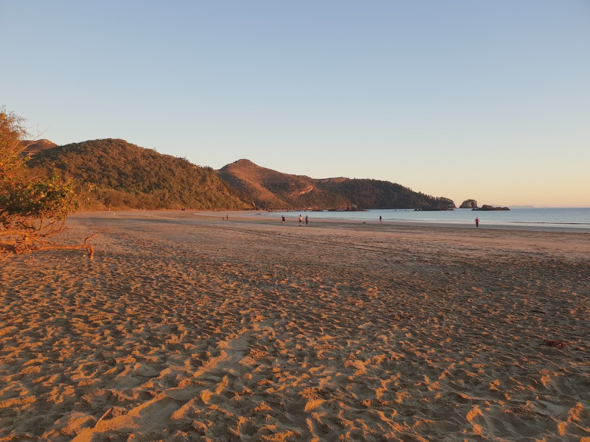 Cape Hillsborough Nature Tourist Park