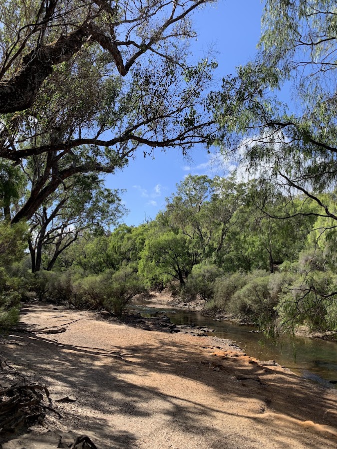 Sue's Bridge Campground - Blackwood River National Park