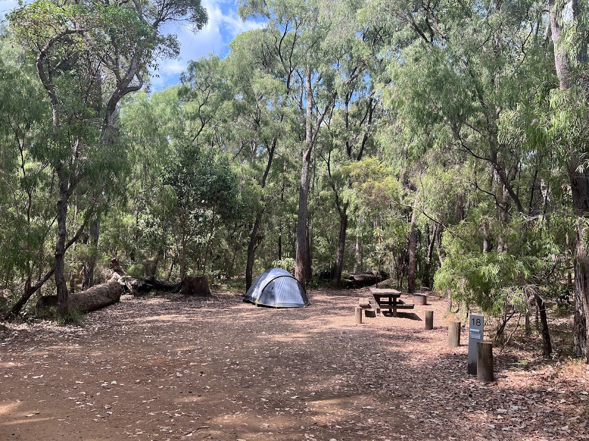 Sue's Bridge Campground - Blackwood River National Park