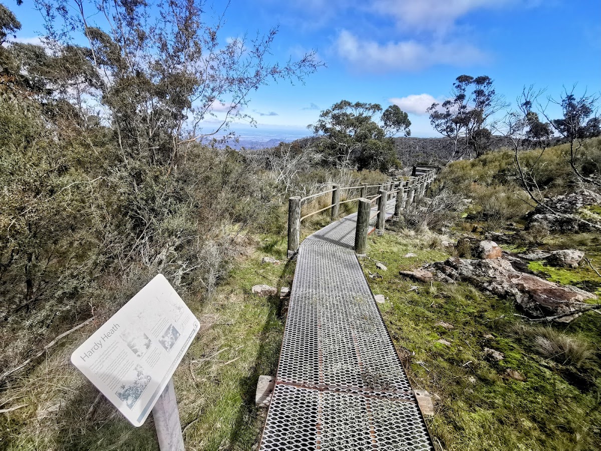 Horsearm Creek Lookout
