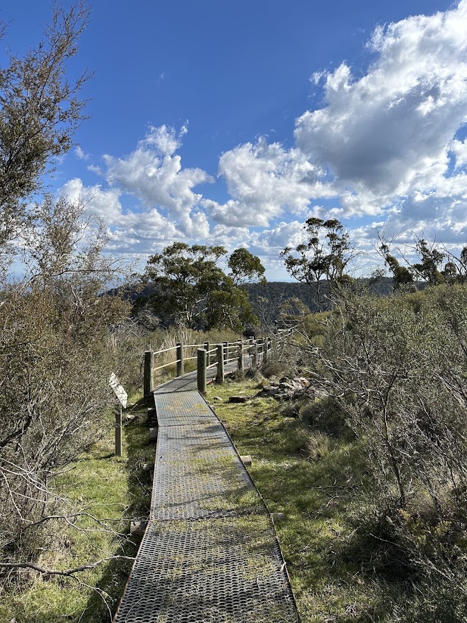 Horsearm Creek Lookout