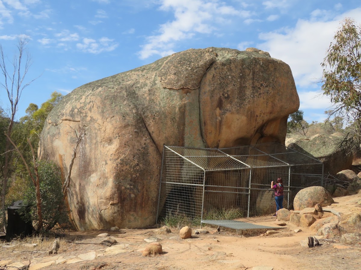 Rock Shelter