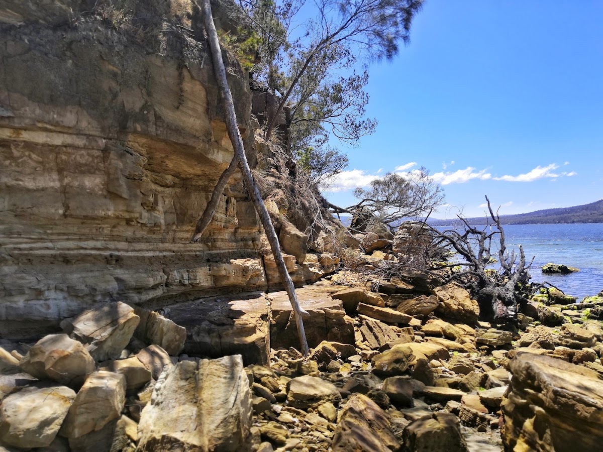 Coningham Beach