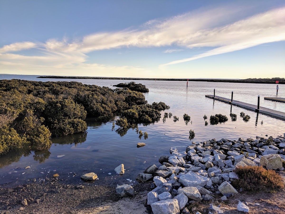 Woodlot Lane Nature Reserve lookout