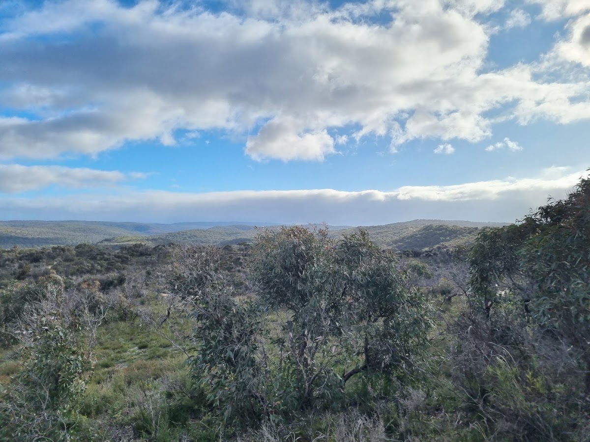 Bunjil Mirr Lookout