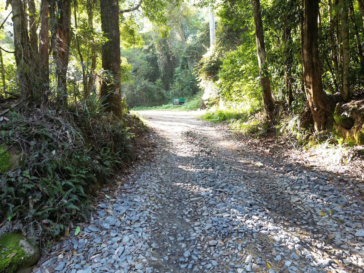 Currawong Camping Area