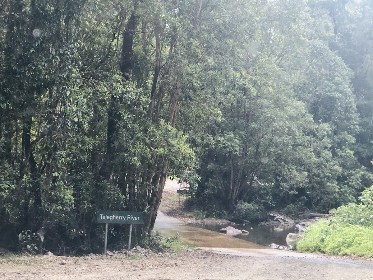 Currawong Camping Area