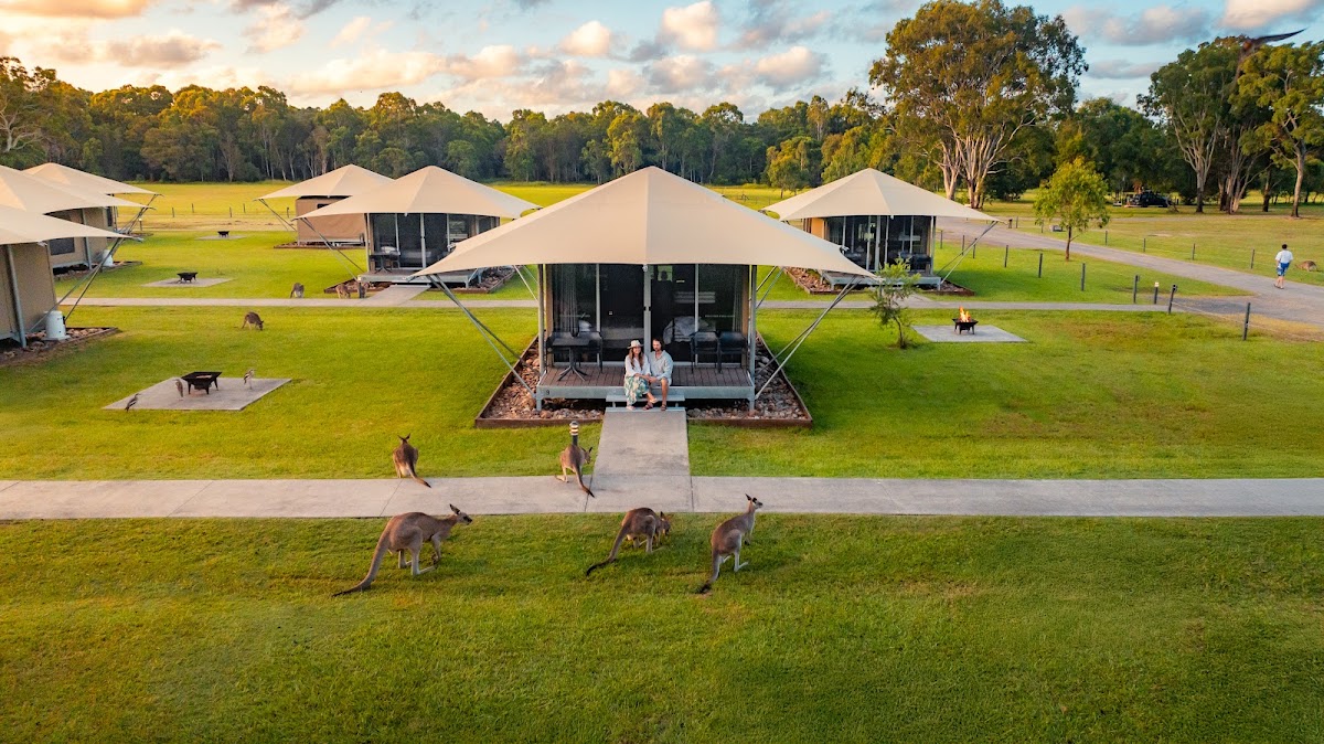 habitatnoosa Everglades ecocamp