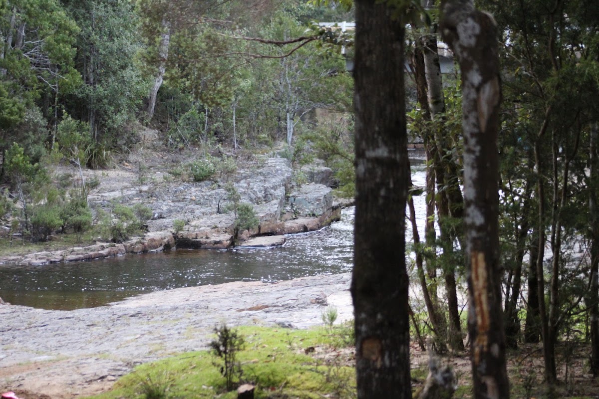 Esperance River Campsite