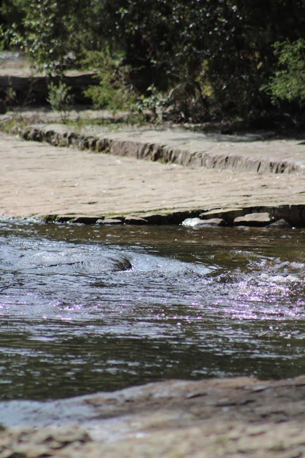 Esperance River Campsite