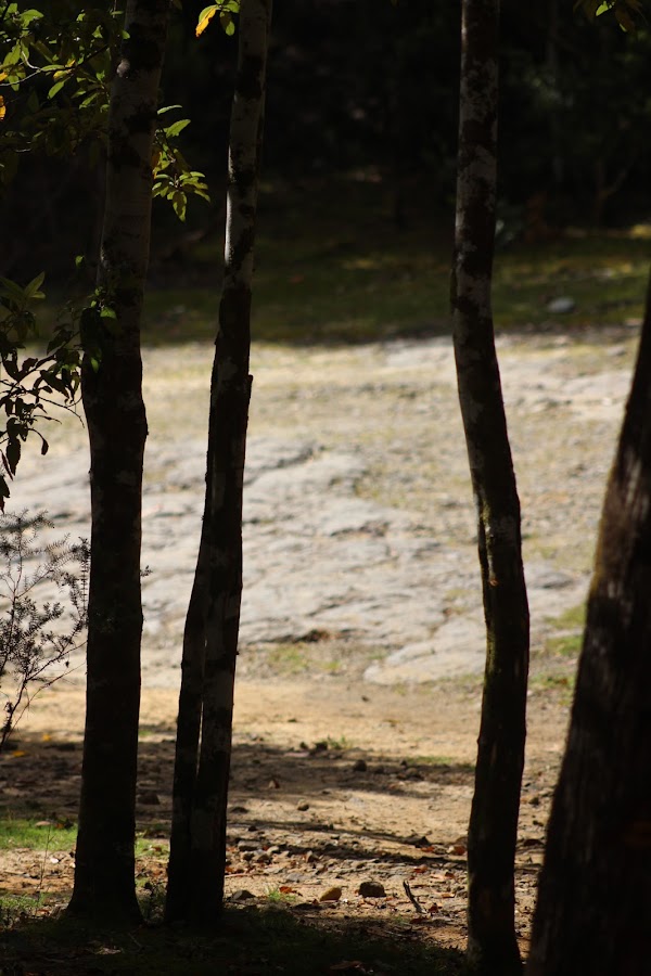 Esperance River Campsite