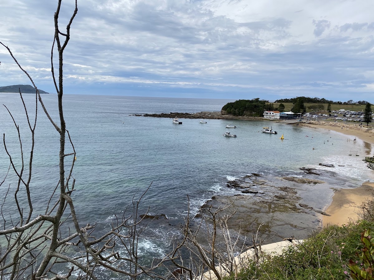 Terrigal Beach