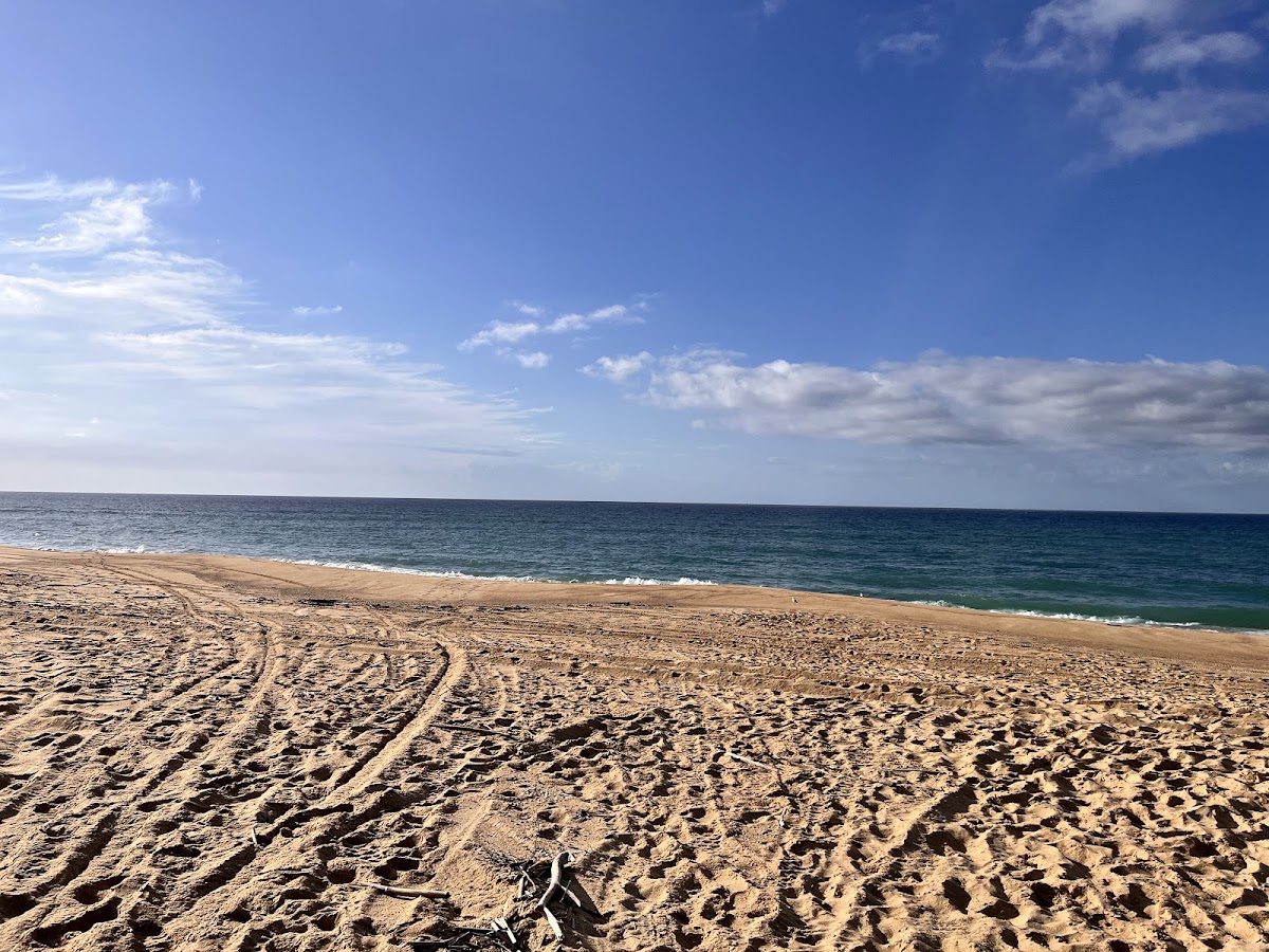 Ganyamalbaa Beach Camping Area