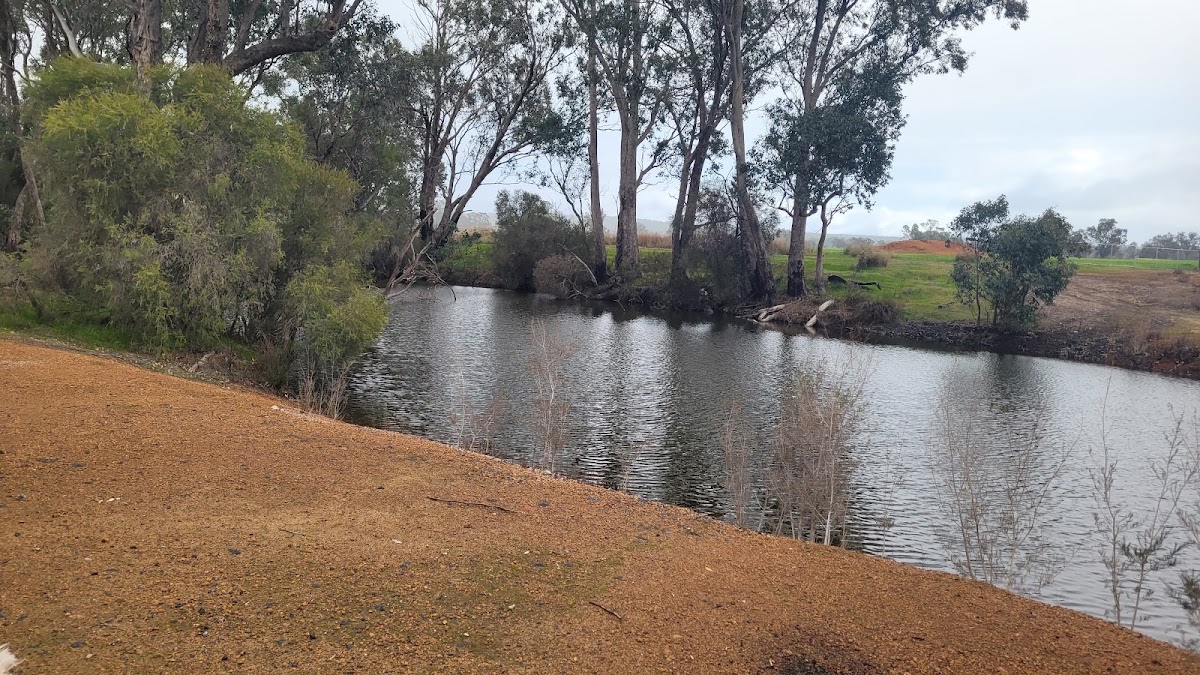 Tonebridge Bridge Rest Area