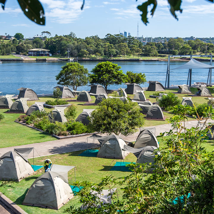 Cookatoo Island Waterfront Campground