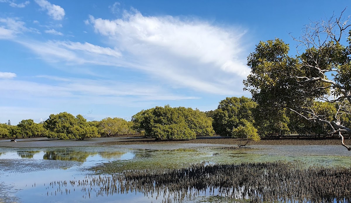 Beachmere Conservation Park