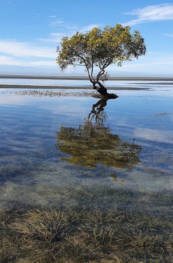 Beachmere Conservation Park
