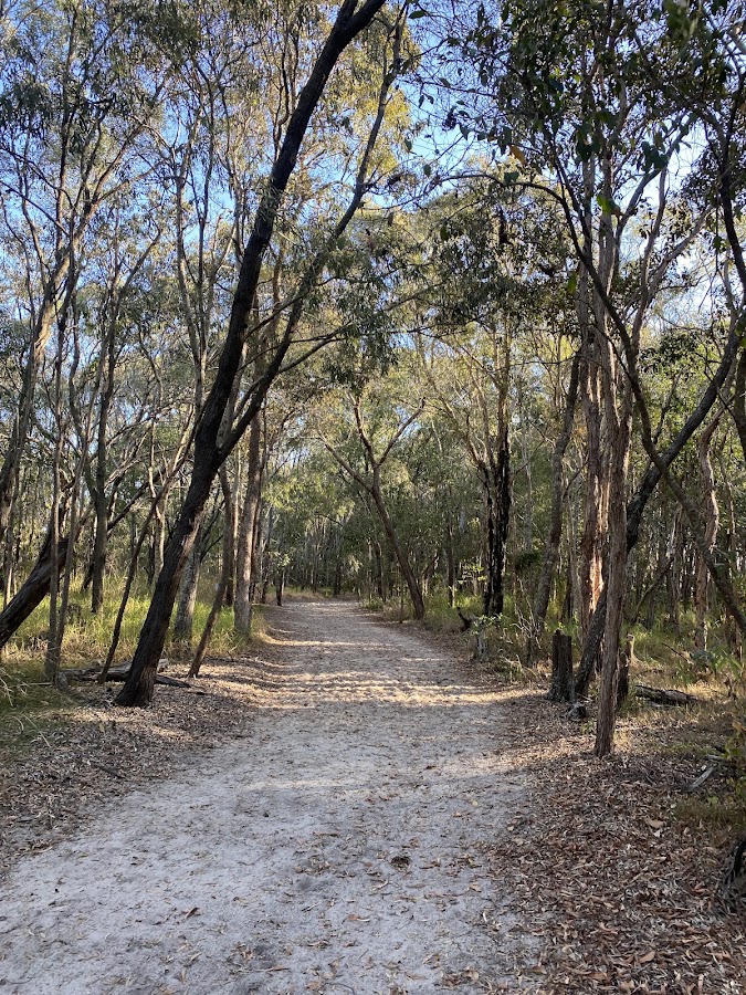 Beachmere Conservation Park