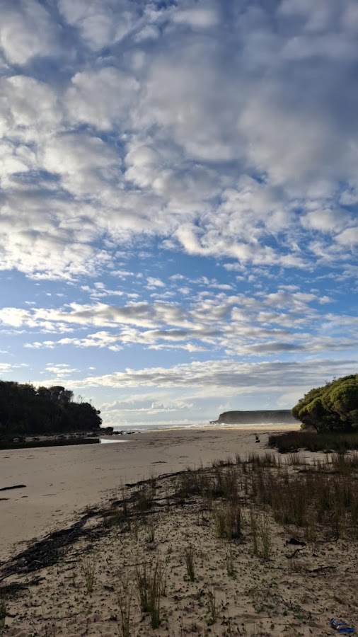 Nadgee Beach