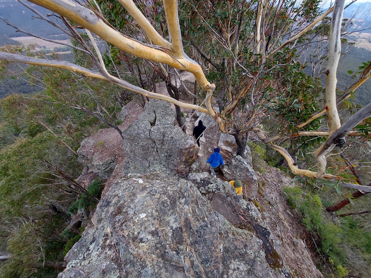 Panorama Lookout