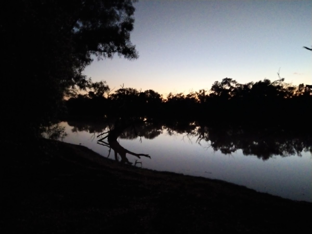 Isisford Barcoo Weir Camping Grounds (East)