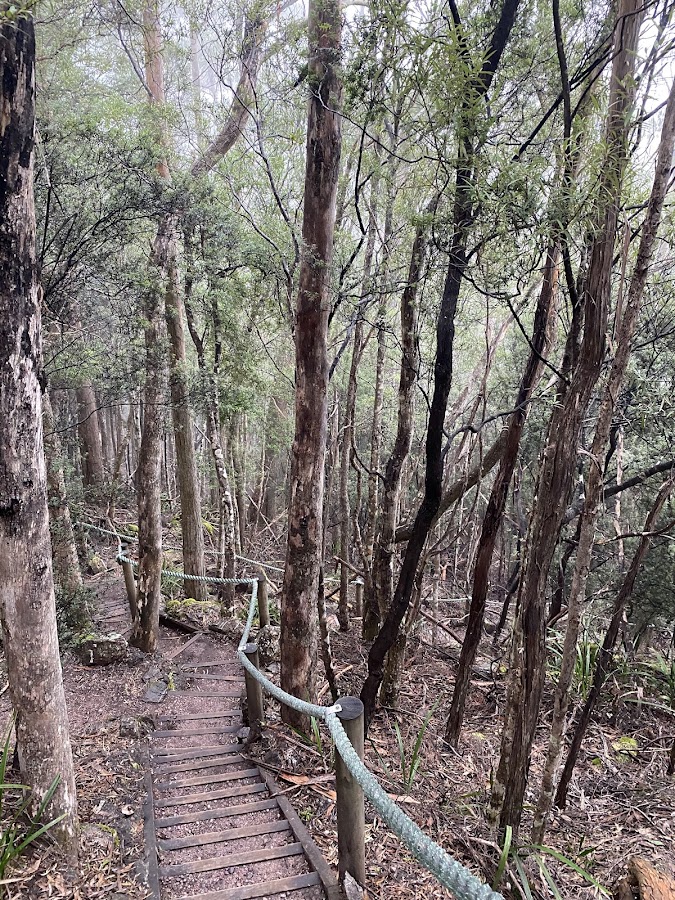 Leven Canyon Reserve