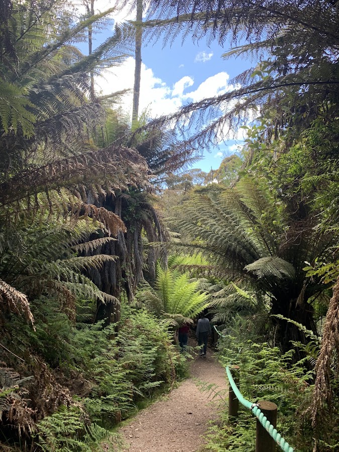 Leven Canyon Reserve