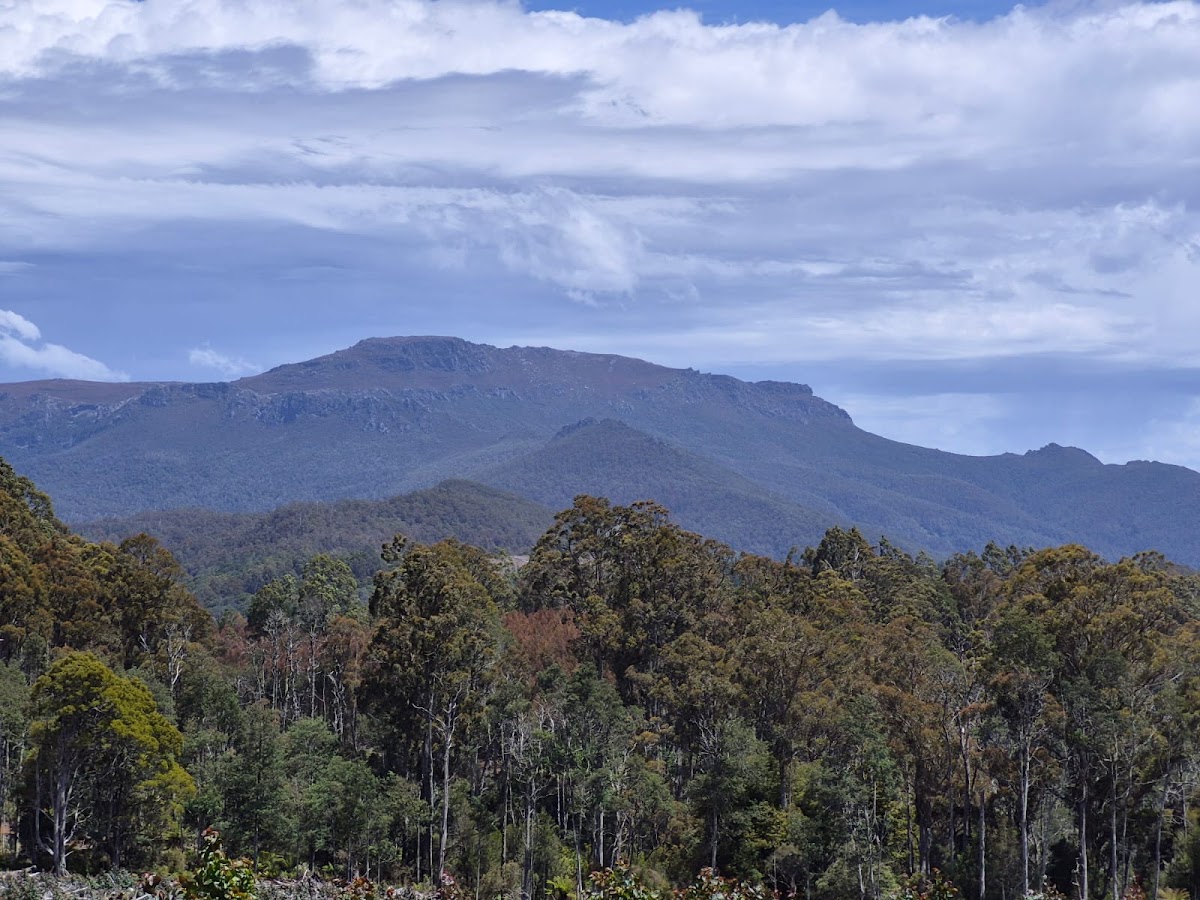 Leven Canyon Reserve