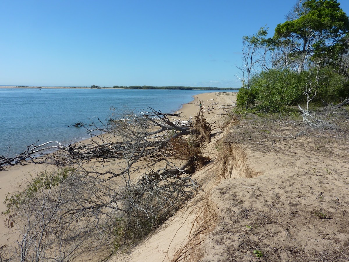 Mouth of Baffle Creek 1 Conservation Park