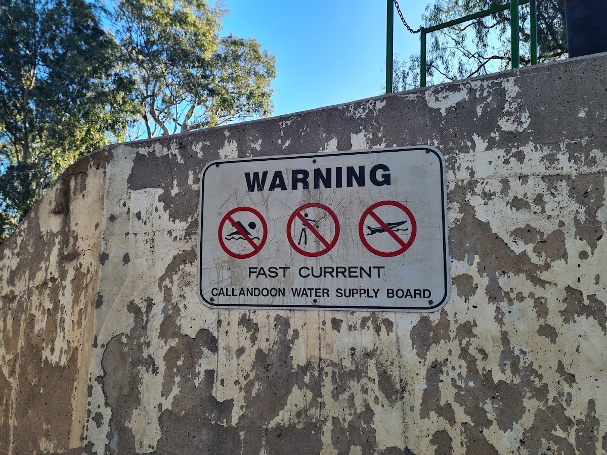 Goondiwindi Weir Town Common