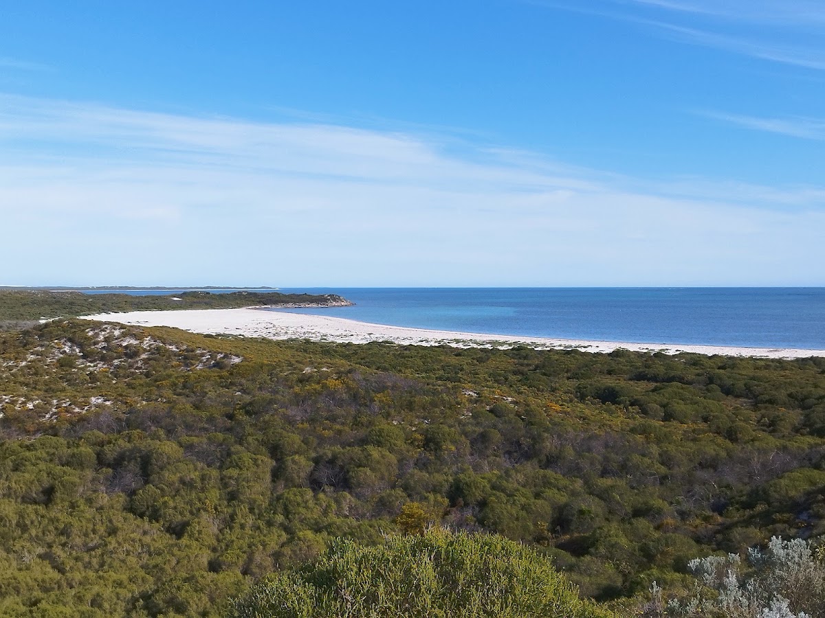 Hansen Bay Lookout