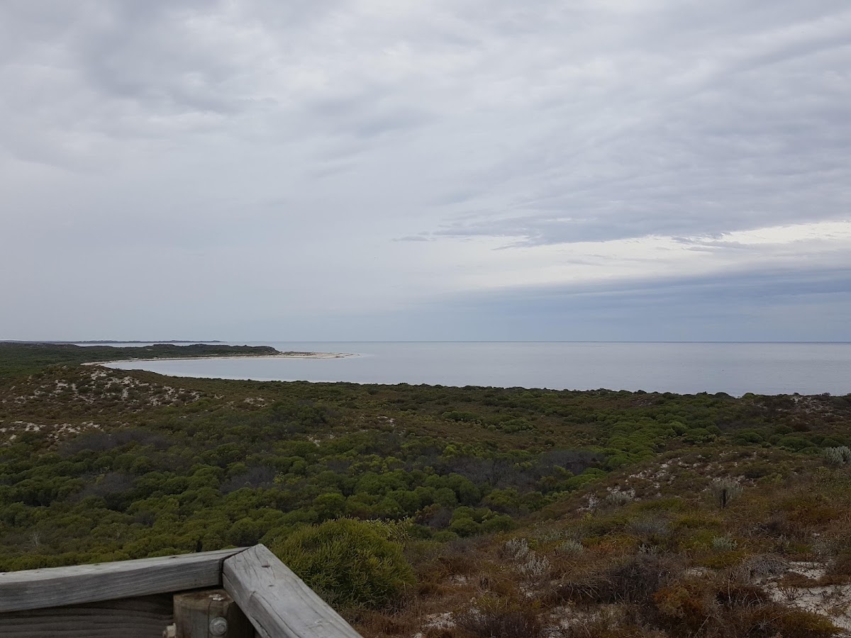 Hansen Bay Lookout