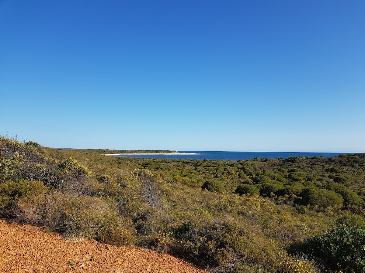 Hansen Bay Lookout