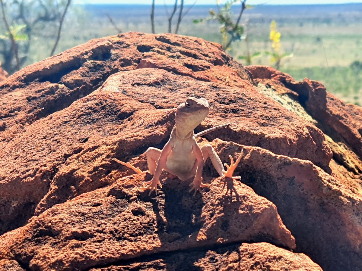 Meteorite Valley Lookout