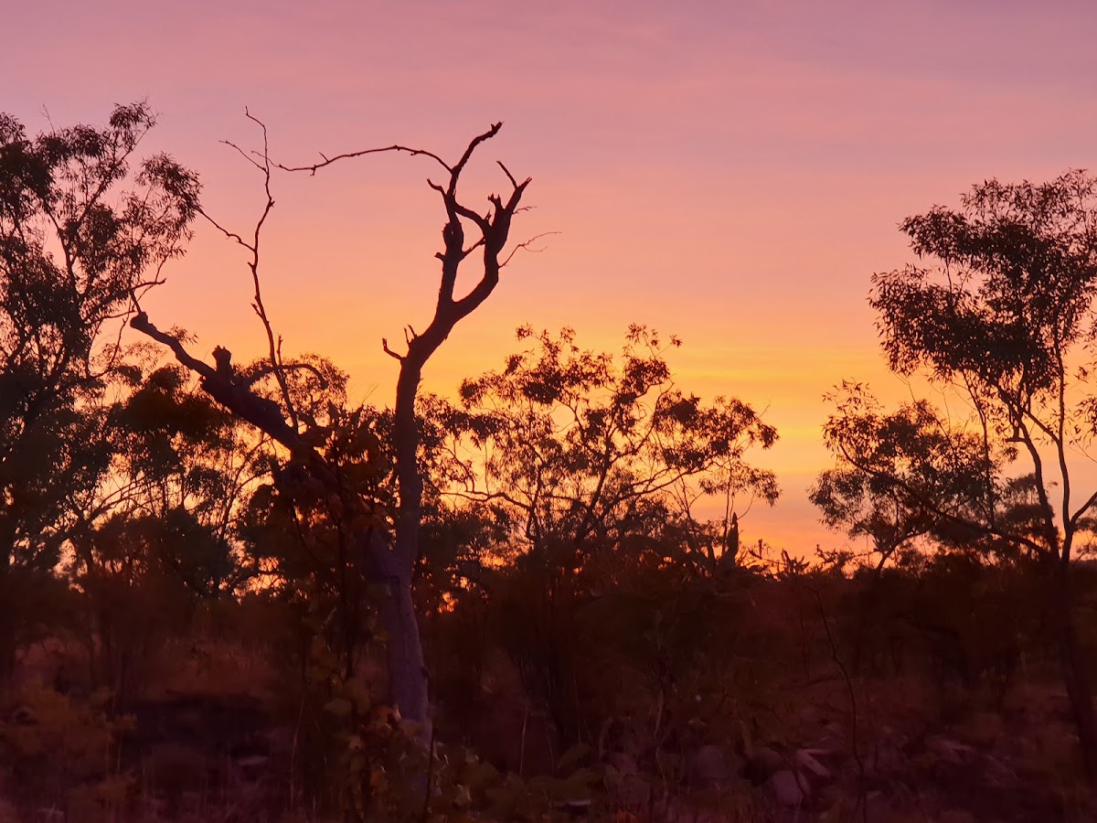 Brancos Lookout