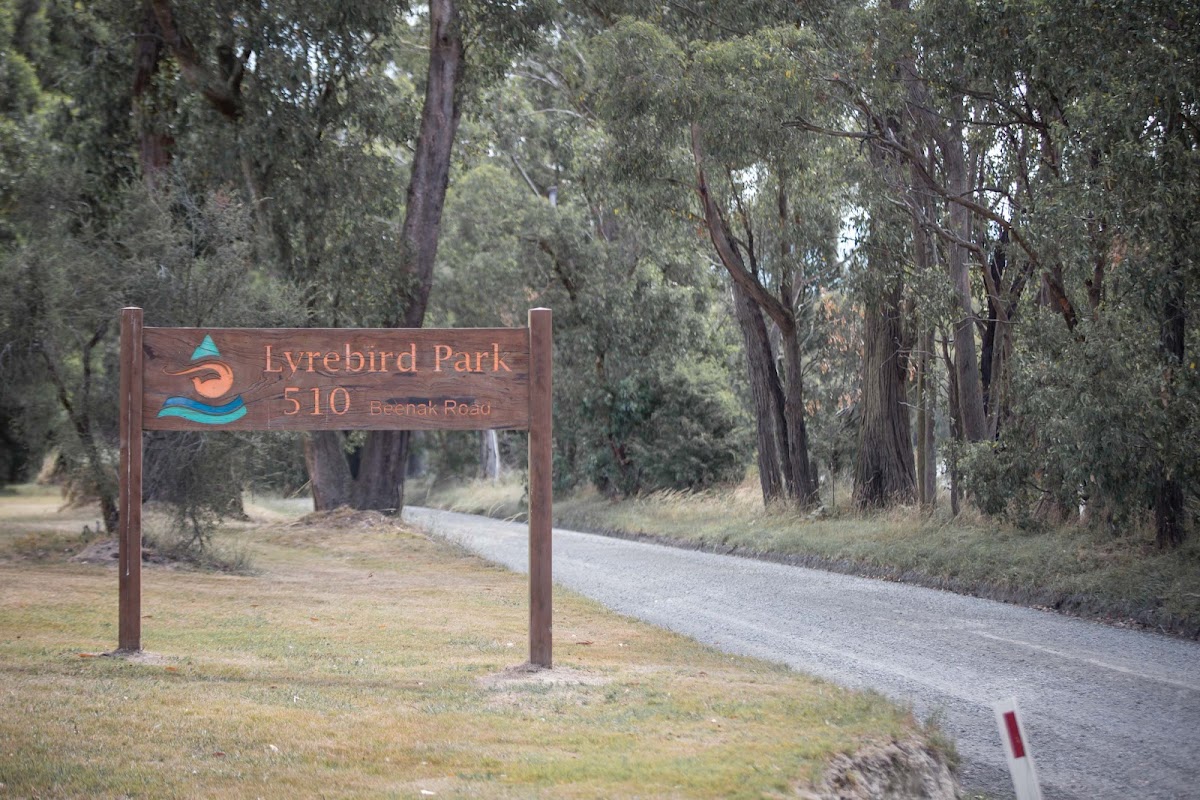 Bowerbird Camp