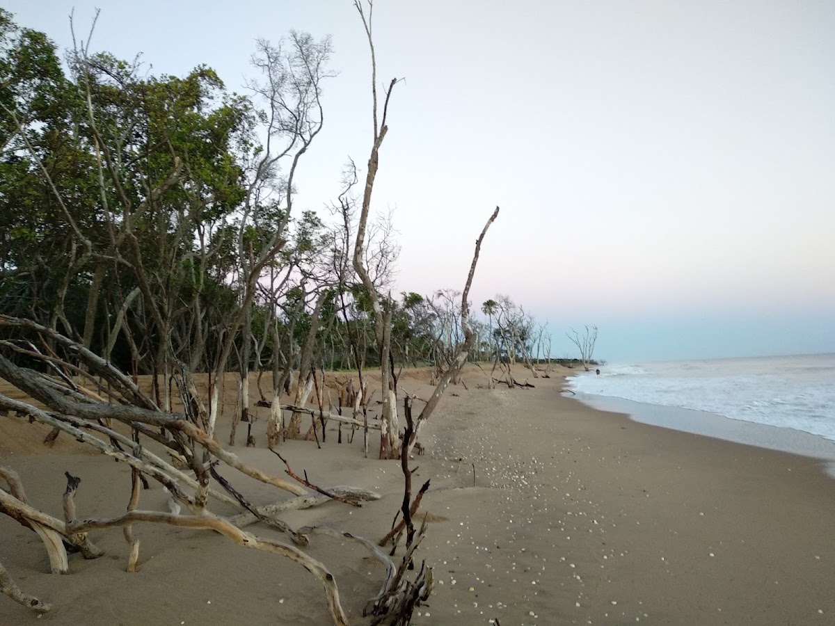Mouth of Kolan River Conservation Park