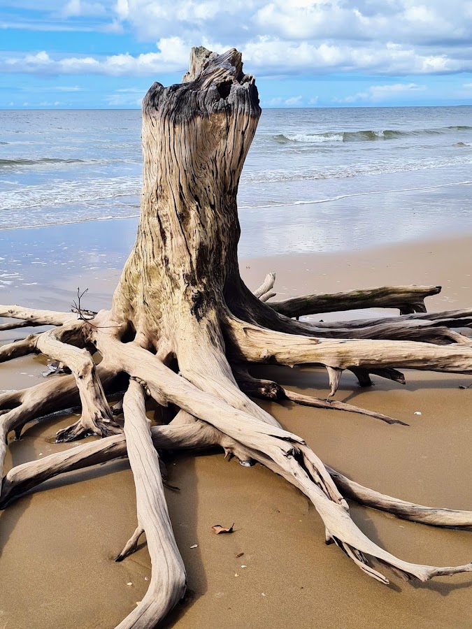 Mouth of Kolan River Conservation Park