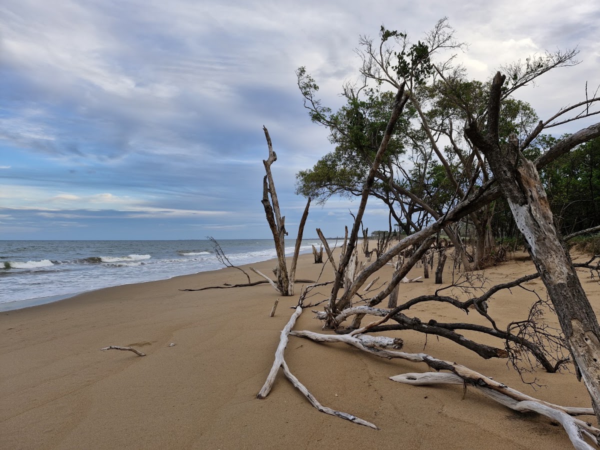 Mouth of Kolan River Conservation Park
