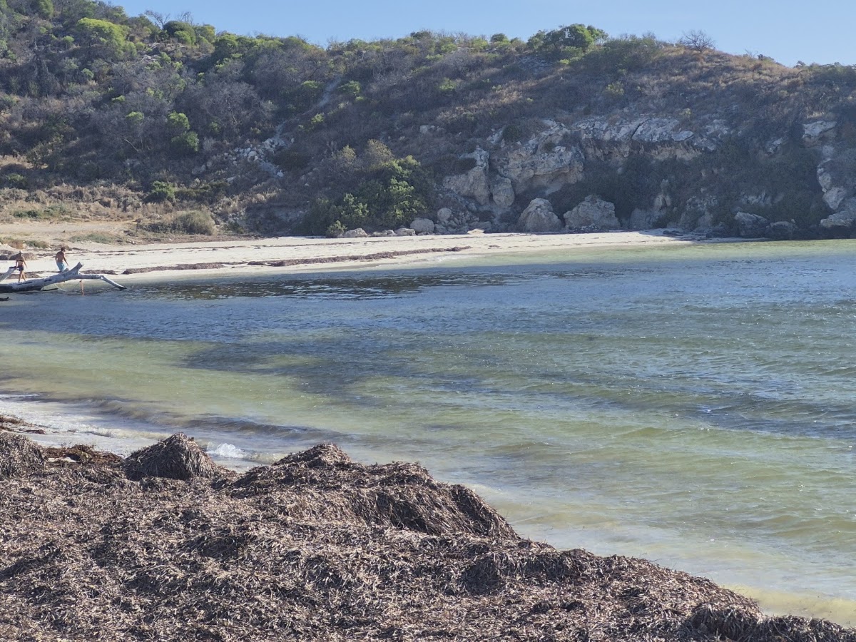 Freshwater Point Rest Area
