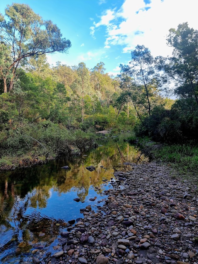 Valencia State Forest