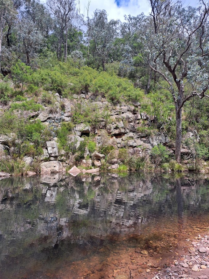 Valencia State Forest